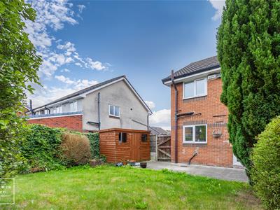 Picture 29